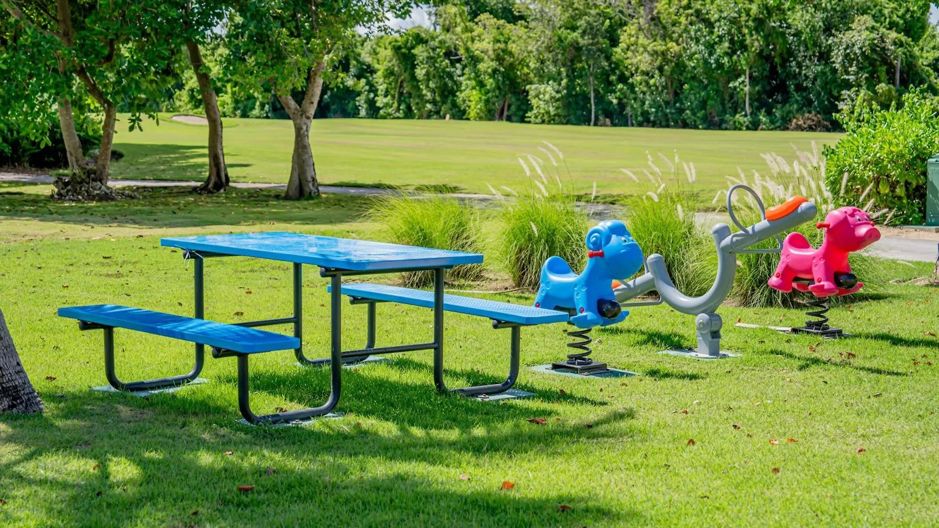 Xeliter Cana Rock Punta Cana 0*,  República Dominicana